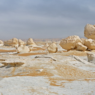 New White Desert
